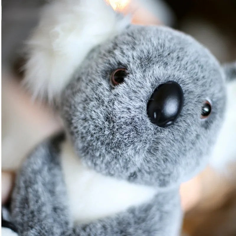 15/20cm Cute Fluffy Plush Koala Bear 2 Colours 11201025 - Snuggle Time